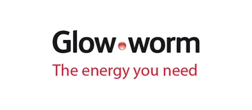 Glow-worm